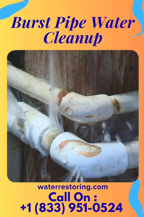 Burst Pipe Water Cleanup in Irwinton, GA
