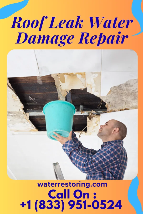 Roof Leak Water Damage Repair in Irwinton, GA